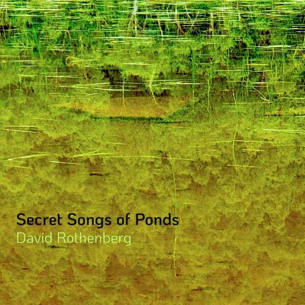 Cover art for Secret Songs of Ponds