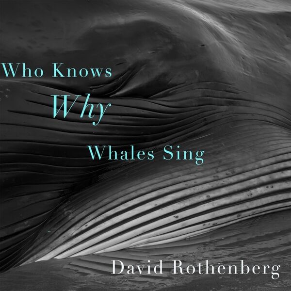 Cover art for Who Knows Why Whales Sing