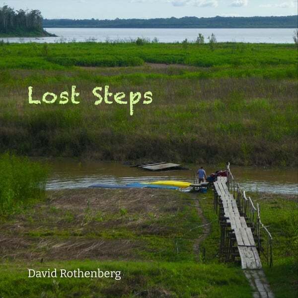 Cover art for Lost Steps