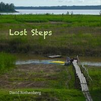 Lost Steps